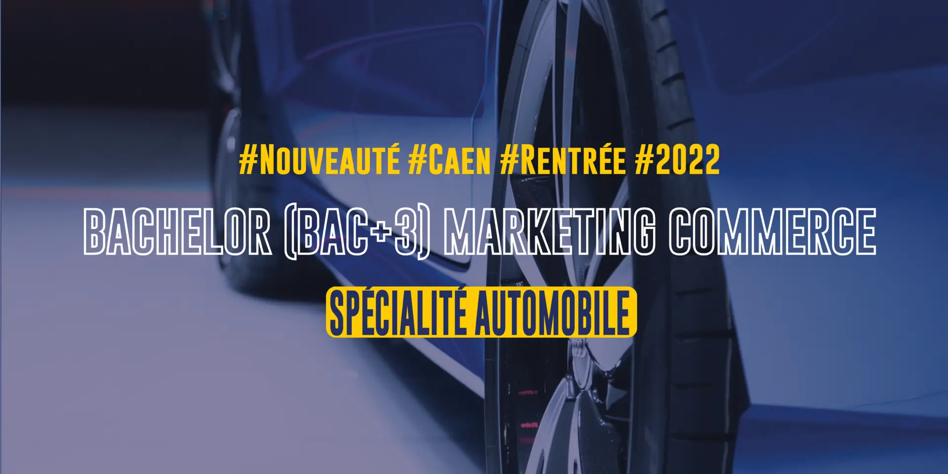 Bachelor (Bac+3) Marketing Commerce option automobile