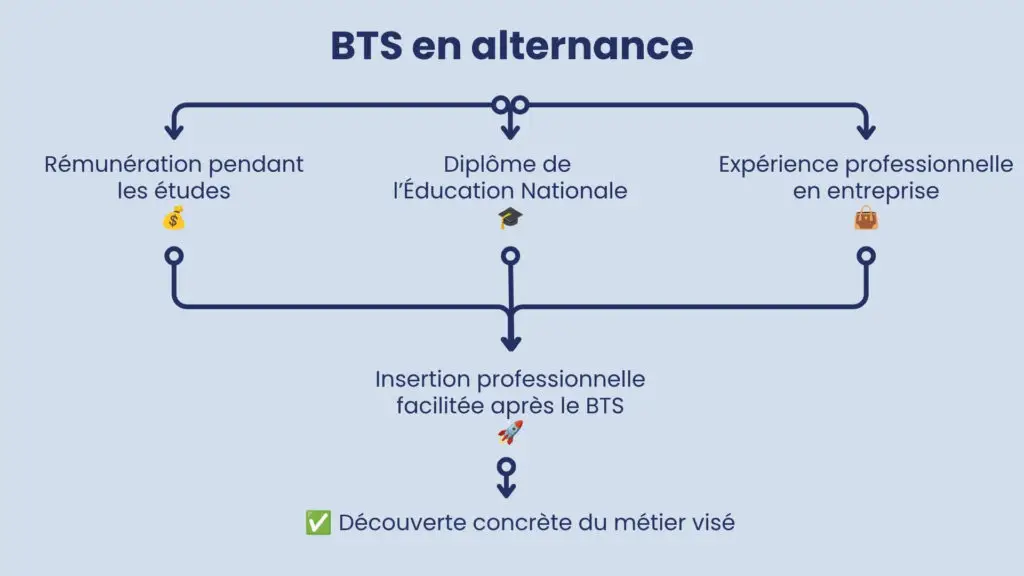 infographie sur pourquoi choisir un BTS en alternance ? - Rémunération pendant les études - Diplôme reconnu par l'état - Expérience professionnelle dès la 1ère année - Insertion professionnelle facilitée après le BTS - Découverte du métier